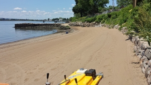 beach cleaning beach cleaner