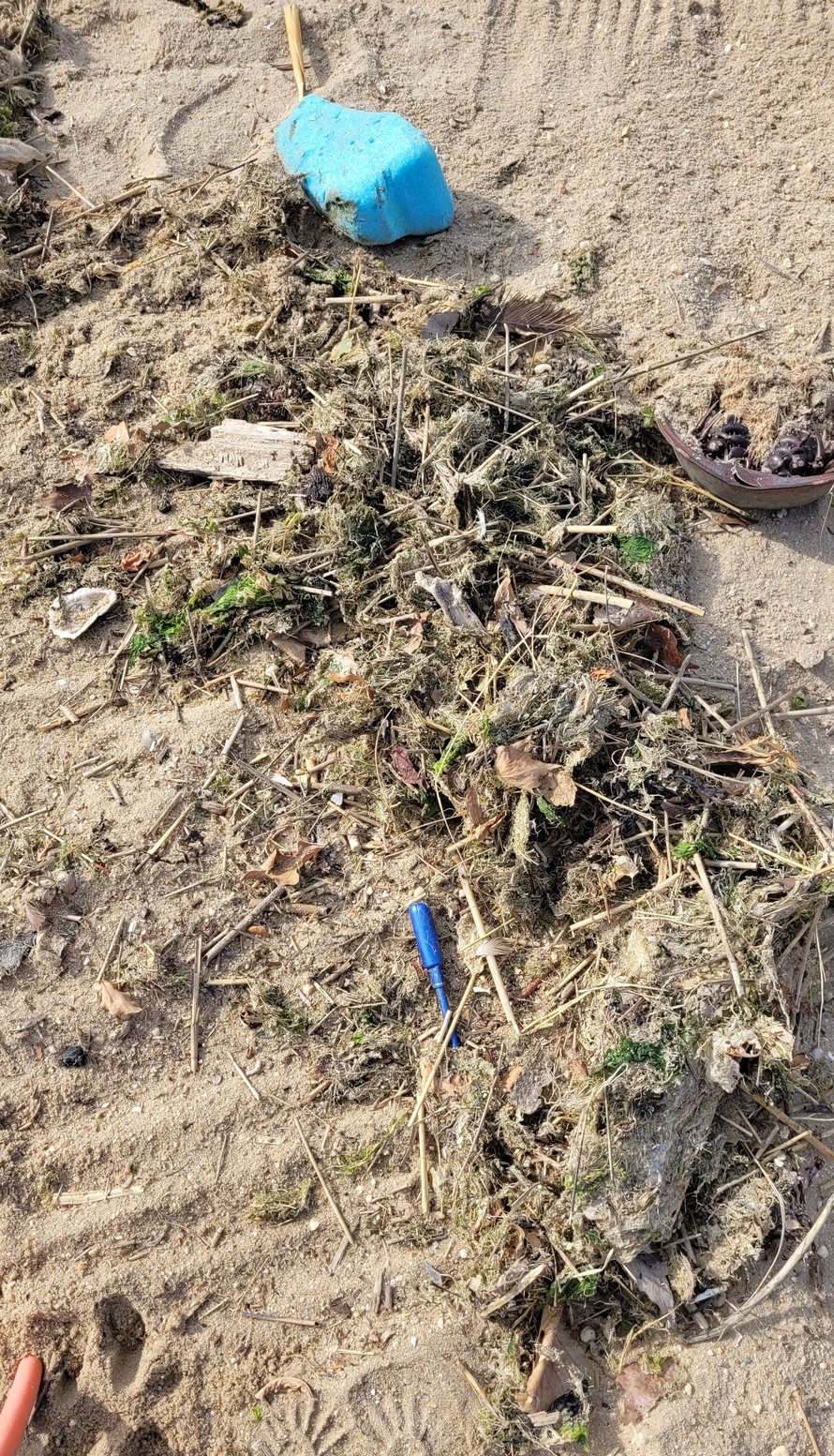 Micro Plastic, Beach debris plastic, plastic on beach, robot beach cleaner